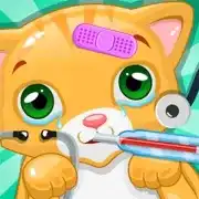 Cat Doctor 